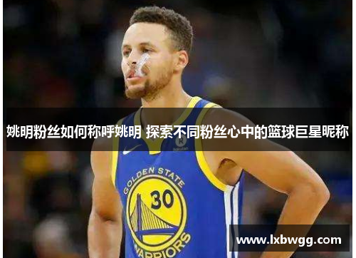 姚明粉丝如何称呼姚明 探索不同粉丝心中的篮球巨星昵称