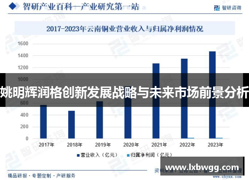 姚明辉润格创新发展战略与未来市场前景分析