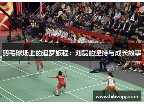 羽毛球场上的追梦旅程：刘磊的坚持与成长故事